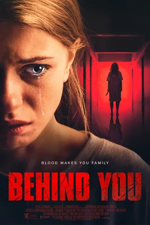 Зеркала: Инкарнация